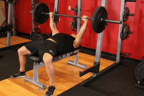 Bench Press hareketi animasyonu